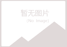 雷山县安雁化学有限公司